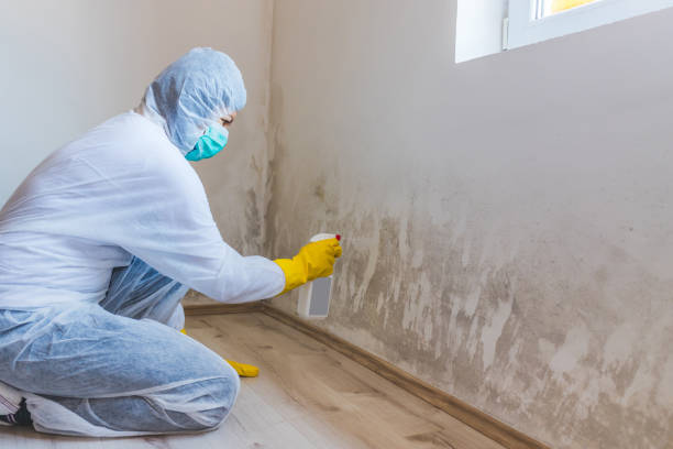 Licensed Crawl Space Mold Removal service in Holmdel, NJ - WQB Mold Removal