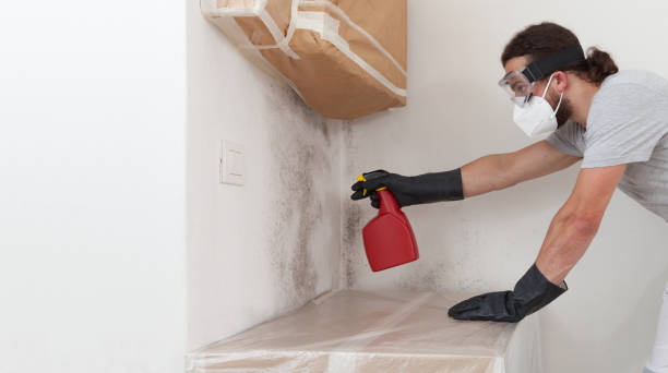Professional Crawl Space Mold Removal technician working in Holmdel, NJ