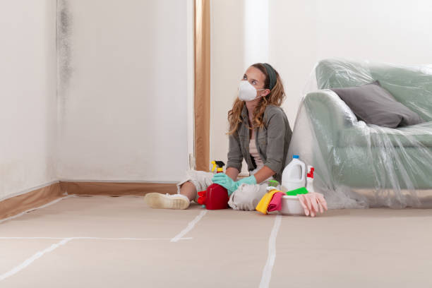 Reliable Crawl Space Mold Removal contractor in Holmdel, NJ by WQB Mold Removal